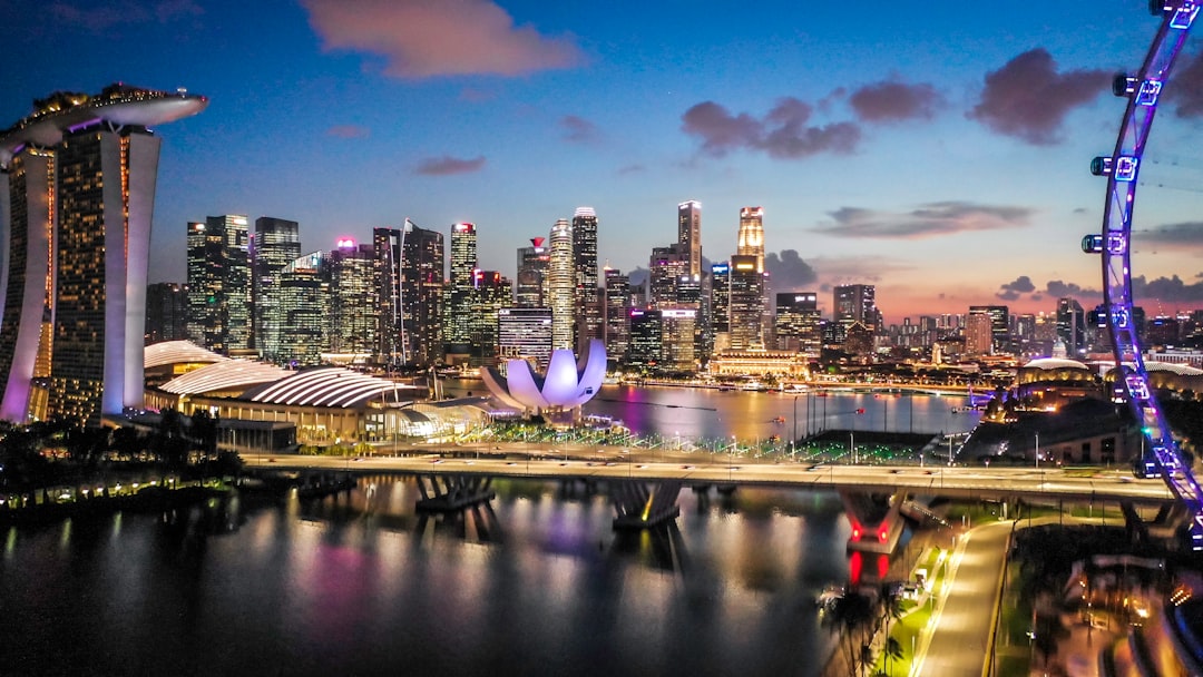 UMAS alumni community gathering in Singapore