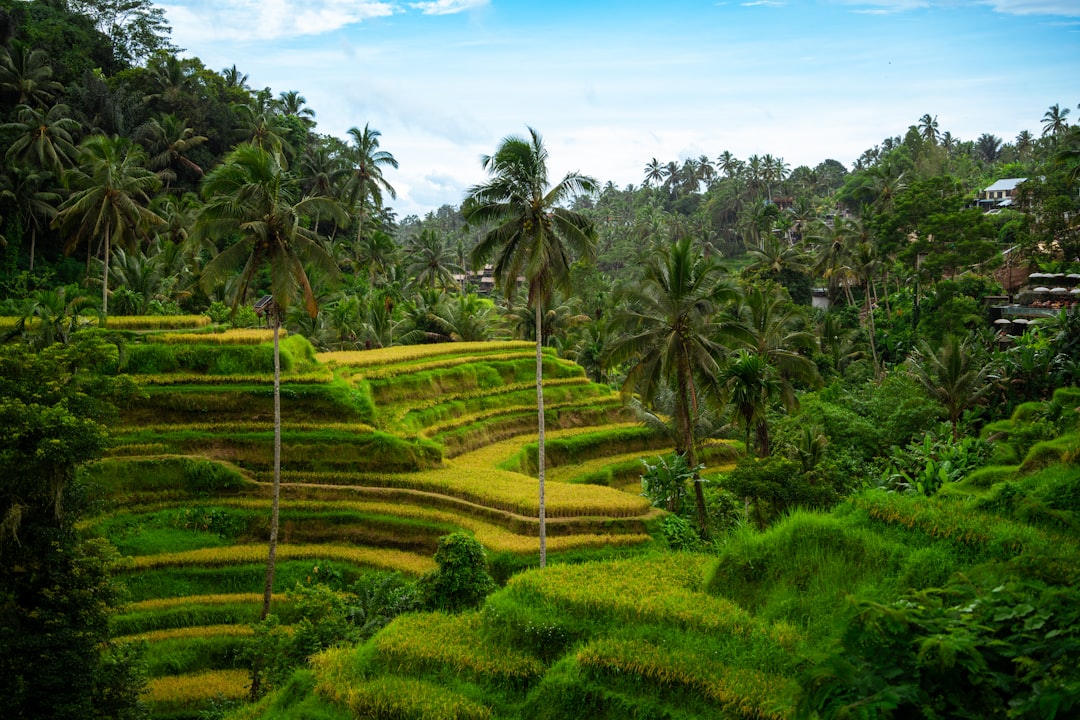 Regional travel experiences